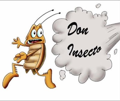 Don Insecto — Control de Plagas Madrid
